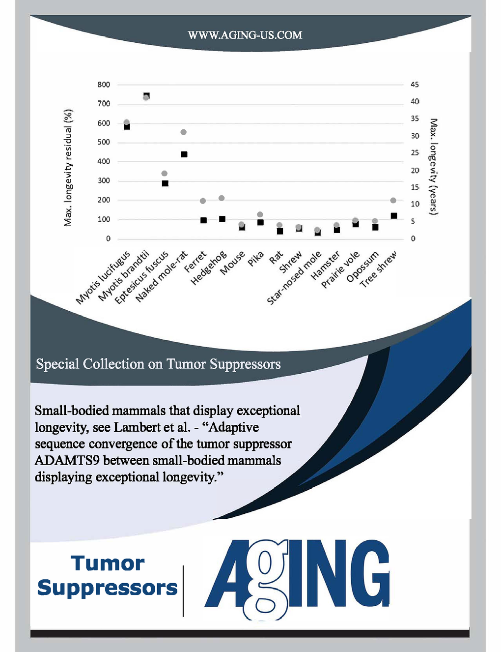 Special Collection on Tumor Suppressors